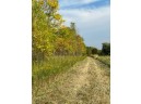 Krueger Road, Black Creek, WI 54106