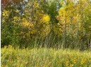 Krueger Road, Black Creek, WI 54106