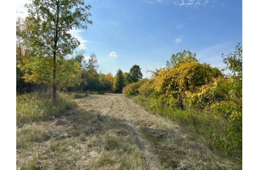 Krueger Road, Black Creek, WI 54106