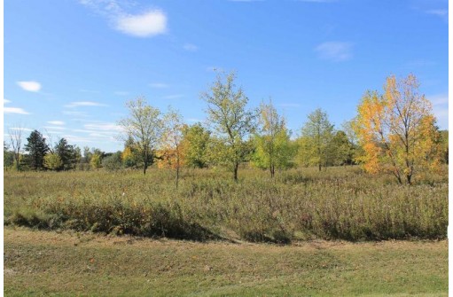 Log Cabin Road, Saint Cloud, WI 53079