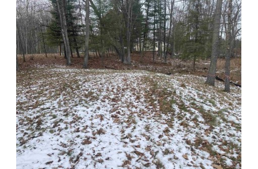 N6142 Wolf River Road, Shawano, WI 54166