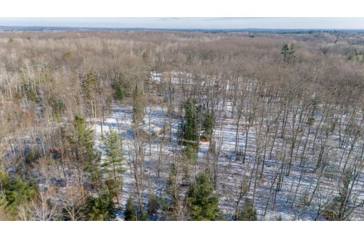 W6849 Windfall Road, Wausaukee, WI 54177