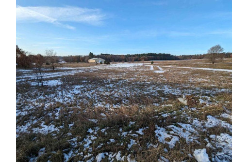 E2569 Bird Dog Lane, Waupaca, WI 54981