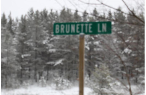 N9423 Brunette Lane, Crivitz, WI 54114