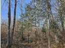 Tamarack Lane, Irma, WI 54442