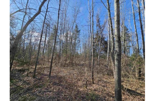 Tamarack Lane, Irma, WI 54442