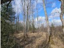 Tamarack Lane, Irma, WI 54442