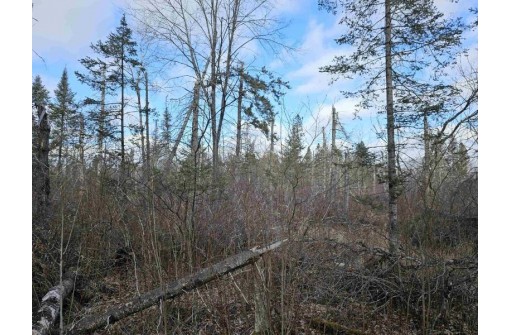 Tamarack Lane, Irma, WI 54442