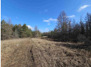 Tamarack Lane, Irma, WI 54442