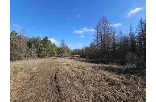 Tamarack Lane, Irma, WI 54442