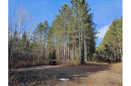 Tamarack Lane, Irma, WI 54442