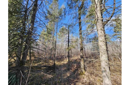 Tamarack Lane, Irma, WI 54442