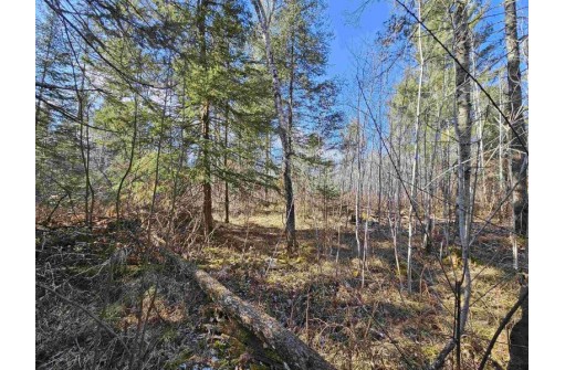 Tamarack Lane, Irma, WI 54442