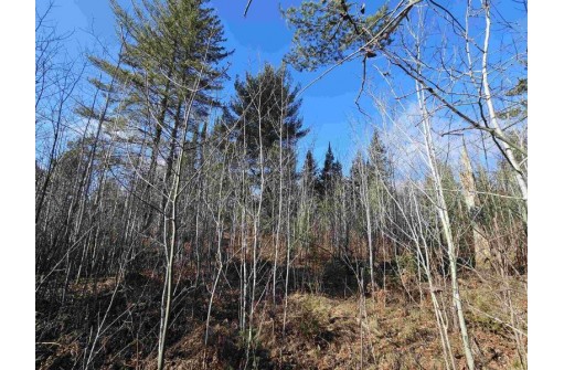 Tamarack Lane, Irma, WI 54442