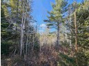 Tamarack Lane, Irma, WI 54442