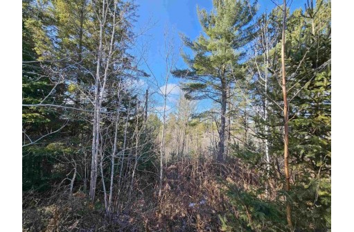 Tamarack Lane, Irma, WI 54442