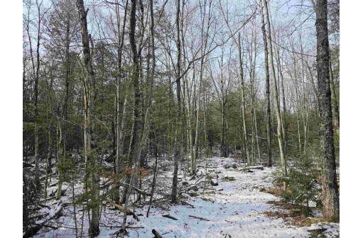 Stony Curve Road, Bowler, WI 54416