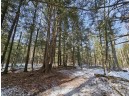 Stony Curve Road, Bowler, WI 54416