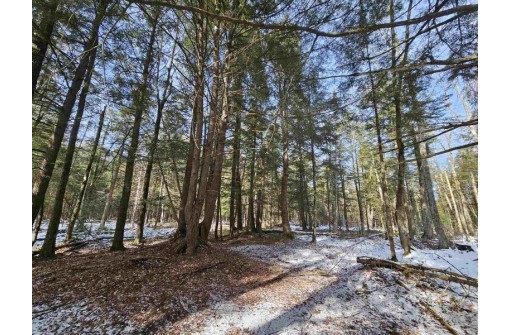 Stony Curve Road, Bowler, WI 54416