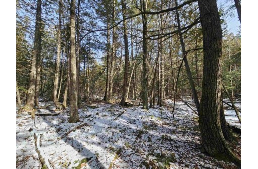 Stony Curve Road, Bowler, WI 54416