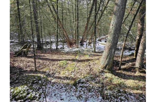 Stony Curve Road, Bowler, WI 54416