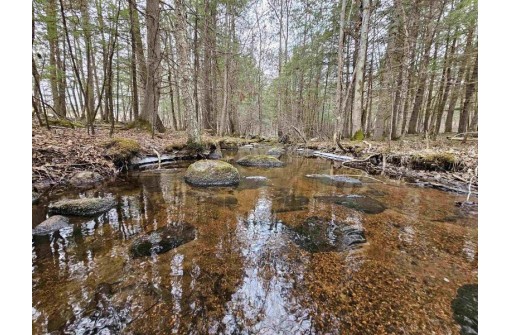 Stony Curve Road, Bowler, WI 54416