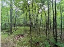 N10226 Deer Lane, Middle Inlet, WI 54177