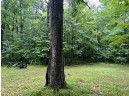 N10226 Deer Lane, Middle Inlet, WI 54177