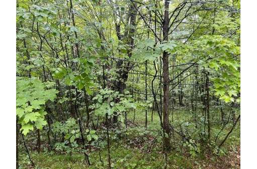 N10226 Deer Lane, Middle Inlet, WI 54177