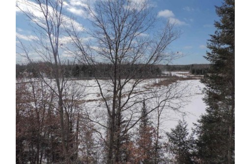 16781 Forest Hill Drive, Townsend, WI 54175