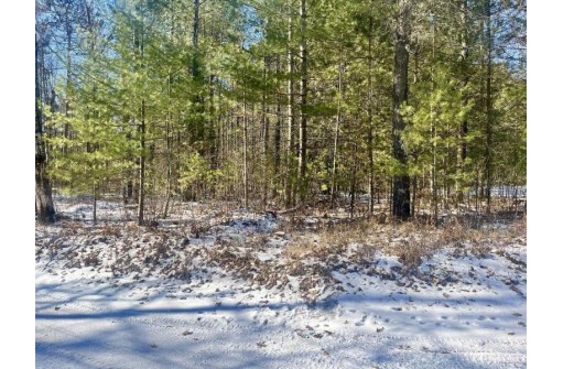 8951 Koolish Road, Minocqua, WI 54548-0000