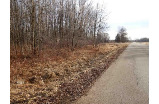 Bramschreiber Road, Little Suamico, WI 54141