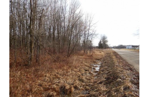 Bramschreiber Road, Little Suamico, WI 54141