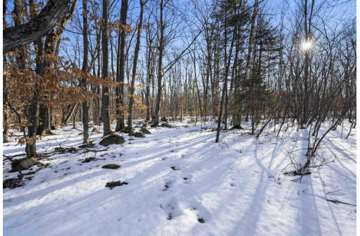 13025 Tar Dam Road, Mountain, WI 54149