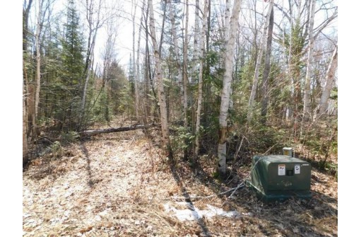 Flowage Lane, Crandon, WI 54520