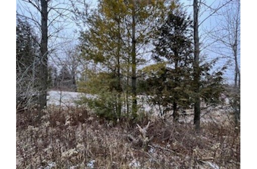 Lakeview Drive, Kewaunee, WI 54216