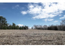 County Road W, Fremont, WI 54940