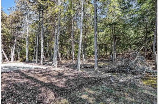 8736 Old Logging Trail, Baileys Harbor, WI 54202