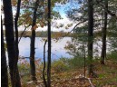 Point Drive, Summit Lake, WI 54485