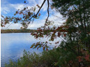 Point Drive, Summit Lake, WI 54485