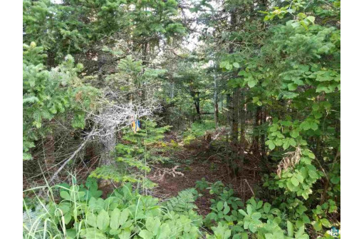 LOT 1 Quarry Point Rd, Port Wing, WI 54865