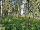 LOT 2 Quarry Point Rd, Port Wing, WI 54865