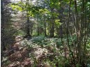 LOT 2 Quarry Point Rd, Port Wing, WI 54865