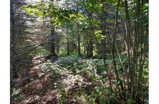 LOT 2 Quarry Point Rd, Port Wing, WI 54865