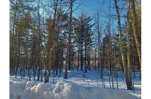 62XX LOT 8 Iron Lake Rd, Iron River, WI 54847