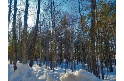 62XX LOT 8 Iron Lake Rd, Iron River, WI 54847