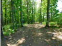 XXX Tressel Trail, Iron River, WI 54847