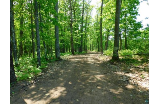 XXX Tressel Trail, Iron River, WI 54847