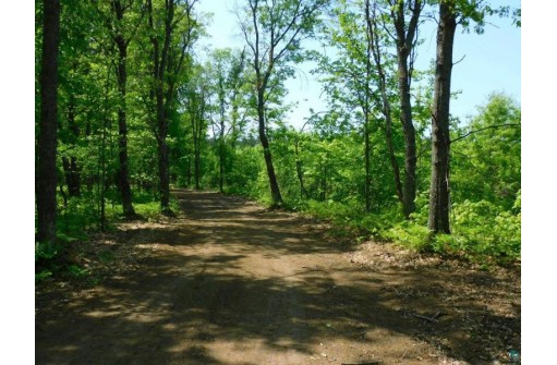 XXX Tressel Trail, Iron River, WI 54847