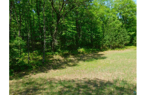 XXX Tressel Trail, Iron River, WI 54847